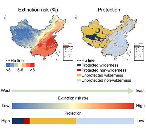 New study unveils hidden extinction crisis in China's plant life
