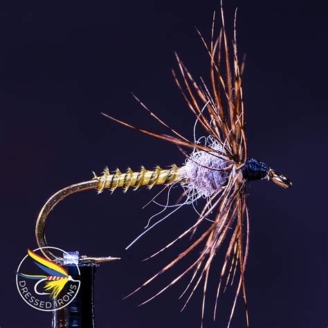 The Turkey Biot Bwo Nymph Pack Dressed Irons