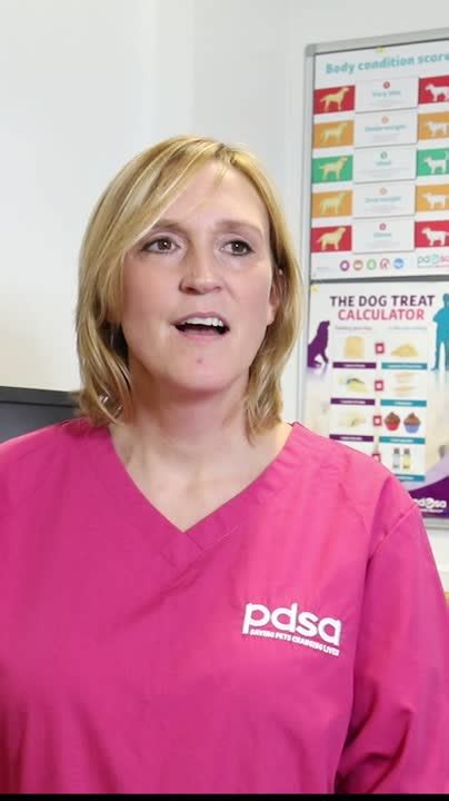 Pdsa On Linkedin Costofloving
