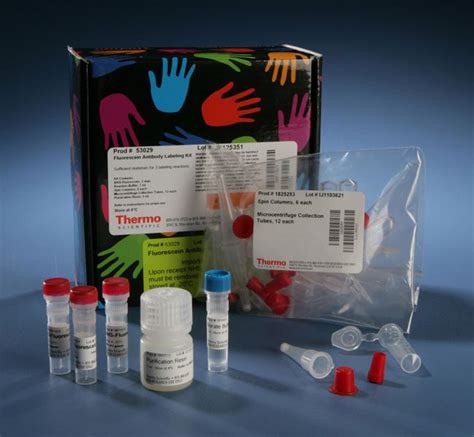 dylight antibody labeling kits  buy  thermo scientific