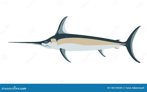 Atlantic Swordfishvector Illustration Flat Style Stock Vector