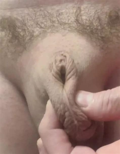 Man Pussy Inverted Micropenis American Shemale Ladyboy Ladyboy Porn Xhamster