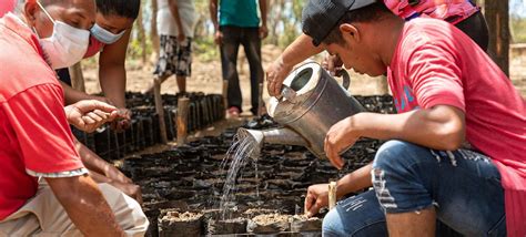 Reflexiones Sobre La Semana Del Clima De Las Naciones Unidas Para Am Rica Latina Y El Caribe