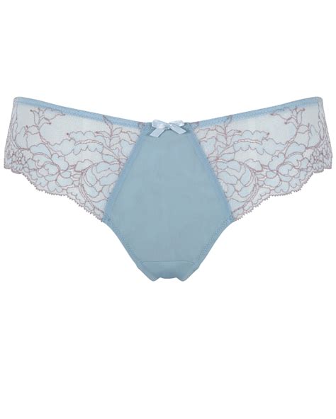 Ana Brazilian Brief Blue Ash Rose Tkd Lingerie
