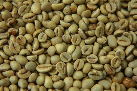 premium photo raw coffee beans