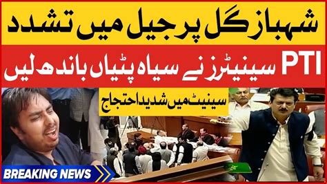 Shahbaz Gill Health Issues PTI Senators Protest In Senate Breaking