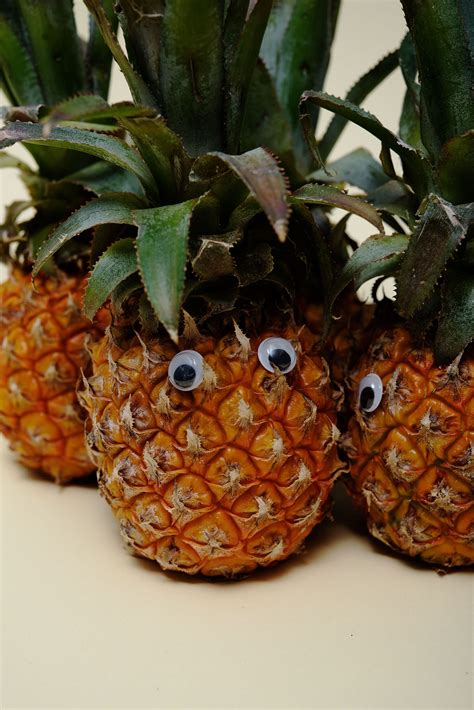 Everything to Know About Cooking and Shopping for In Season Pineapples