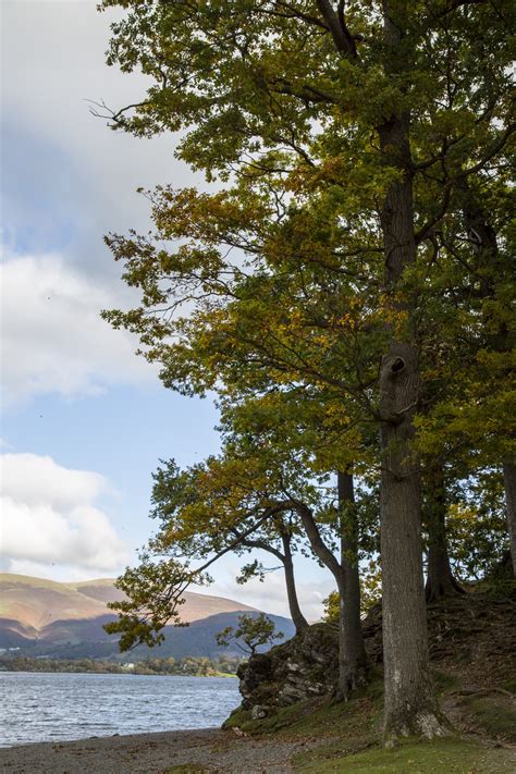 Derwent Water Walk Free Stock Photo - Public Domain Pictures