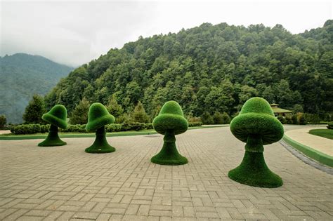 Фабрика декора Бачо - Фото | Фабрика декора Бачо