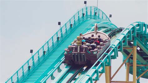 Guide to SeaWorld San Antonio | Go City®