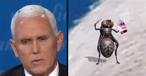 Mike Pence's Fly Inspires a Swarm of Memes - Funny Article | eBaum's World