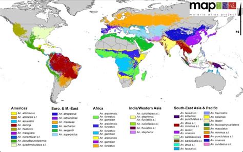 A Global Map Of Dominant Malaria Vectors SpringerLink