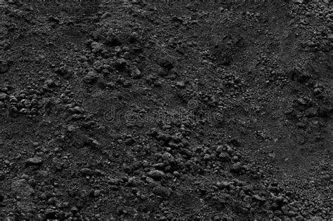 Black Soil Texture Closeup View Stock Image Image Of Organic Growth