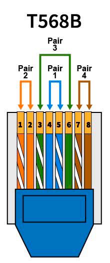 Jolly start witch ethernet cable termination diagram Fold enclose Convert