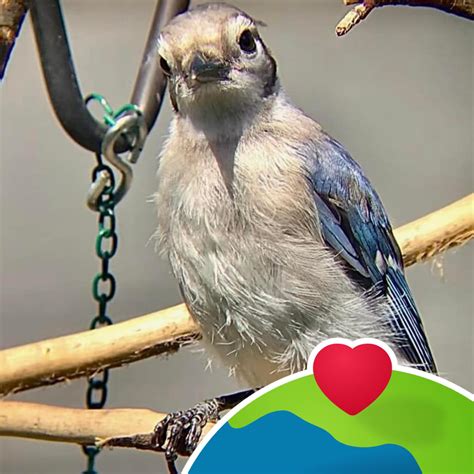 Samie Duchamp - Samie Duchamp added a new photo.