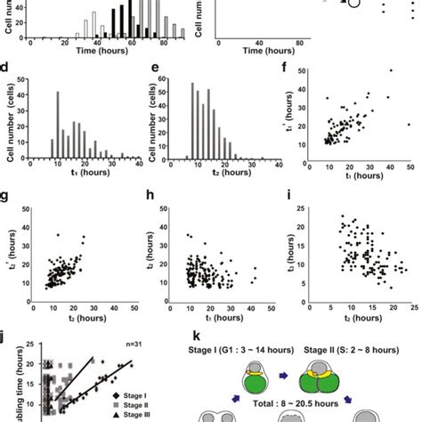 Measurement Of The Generation Time Of Passaged Cells A The Scheme Of