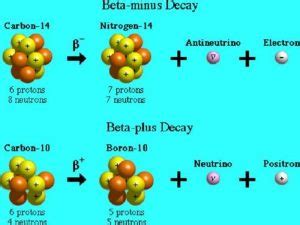 5 Beta Decay Examples in Real Life – StudiousGuy