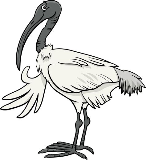 cartoon ibis bird comic animal character  vector art  vecteezy