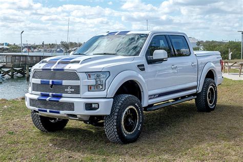 Ford Shelby F 150 Super Snake By Bradford Martin