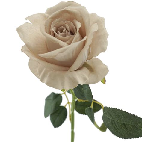 Rose Mickey Nude High Quality Artificial Flowers The Artificial Flower Co