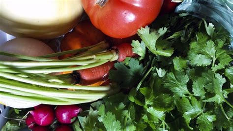 vegetable closeup  stock photo public domain pictures