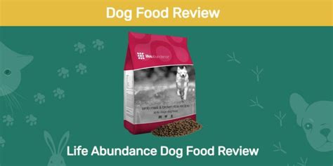 Life Abundance Dog Food Review 2023: Recalls, Pros & Cons | Pet Keen