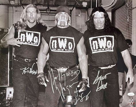 The New World Order Wcw