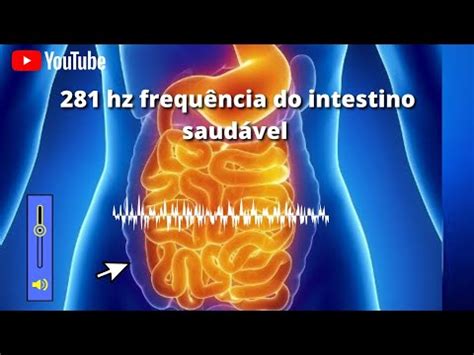 Intestino Solto Com Frequência