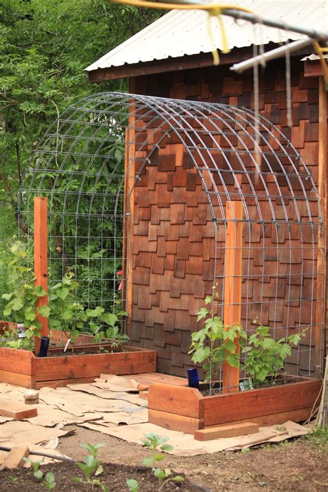 Vertical Garden Ideas for Your Outdoor Space