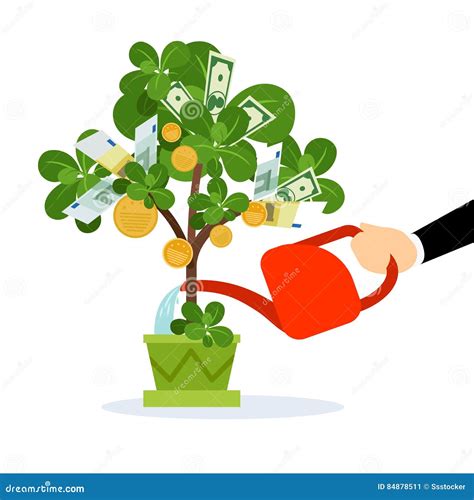 how to take care of a money tree 8