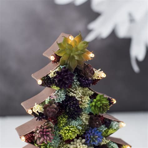 Succulent Xmas Tree Best Succulent Ideas
