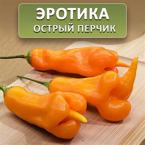 Перец острый Перец чили - купить по выгодным ценам в интернет-магазине ...