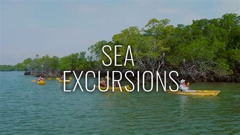 Sea Excursions Youtube