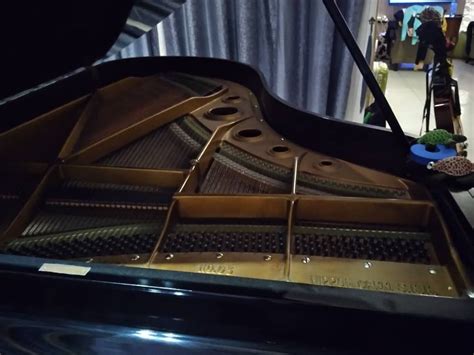 Yamaha G5 Grand Piano Hobbies And Toys Music And Media Musical