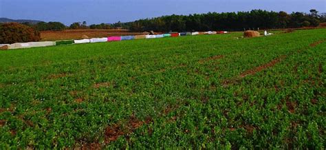 Dry Land Farming Agriculture Notes