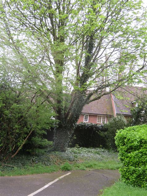 WEMBLEY MATTERS: Village Mews: A story of neglect, lack of maintenance