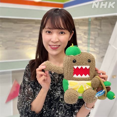 nhk nhk ixapnm