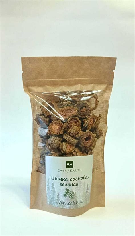 Шишка Сосновая зеленая