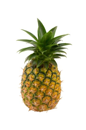 Pineapple Showcase PNG Transparent Images Free Download | Vector Files