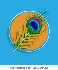 Peacock Feather Vector Background: vector de stock (libre de regalías ...