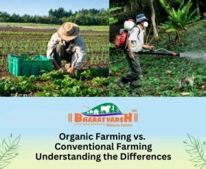 Differences Between Organic and Conventional Farming Methods ...