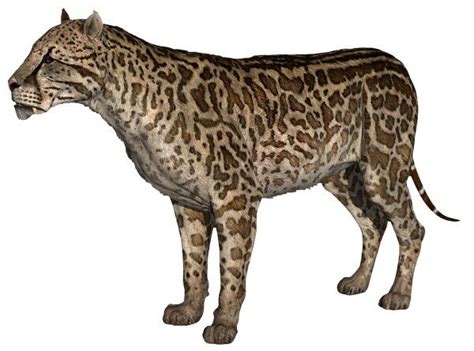 Dinofelis