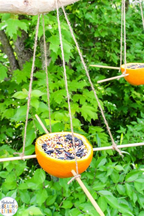 DIY Birdfeeders Nature Crafts for Kids