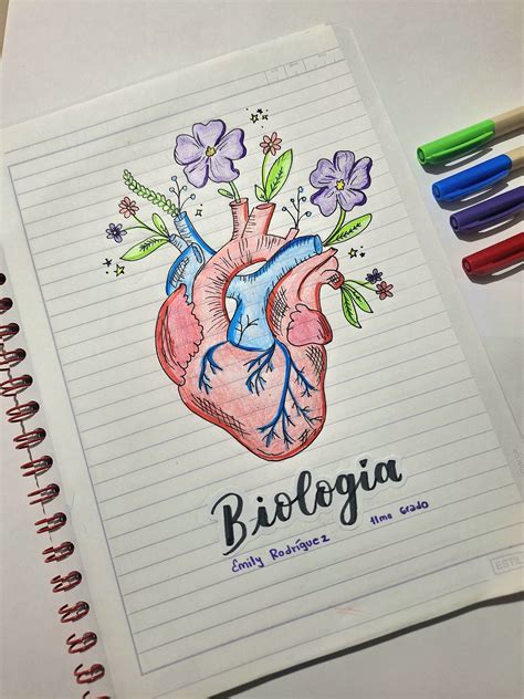 Desenhar Capa De Caderno - 8
