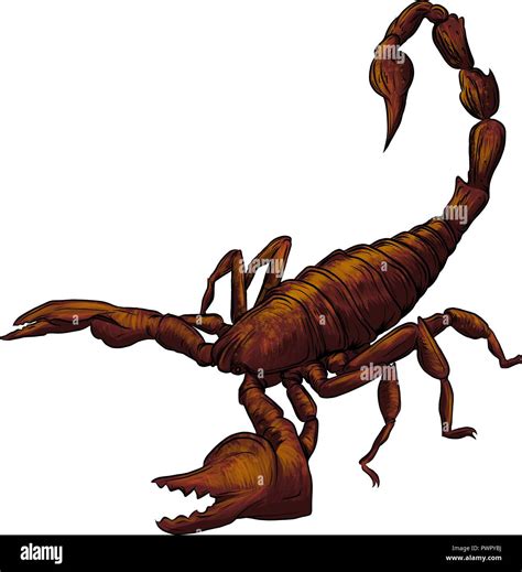 Vector Realistic Scorpion Cartoon Illustration In White Background