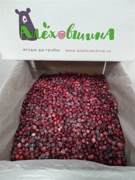 Купить клюкву - ООО «Алёховщина» замороженная пищевая продукция - ягоды ...