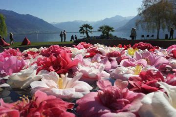 Campingplatz Lago Maggiore Cannobio Riviera Und Valle Romantica