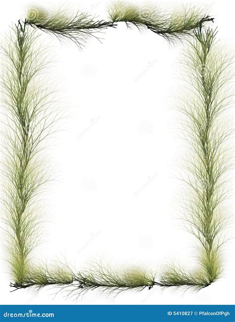 Border: Evergreen Branches Royalty Free Stock Photography - Image: 5410827