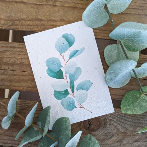 Postkarte Eukalyptus aus Samenpapier Samenbleistift de für H K S 7