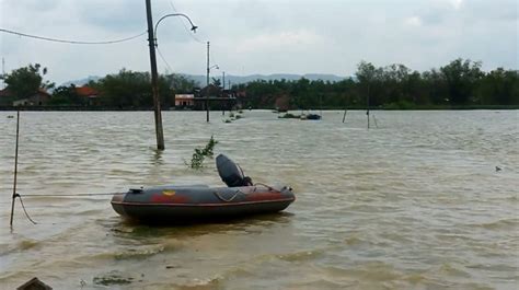 Ribuan Hektar Sawah Di Pati Masih Terendam Banjir Petani Merugi Hingga